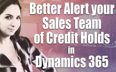 Better Alert your Sales Team of Credit Holds in Dynamics 365 for Sales CRM