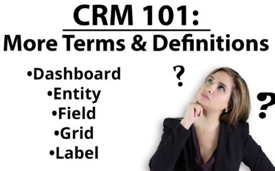 CRM 101: More Basic CRM Terms & Definitions – Field, Entity, Grid, Label, & Dashboard