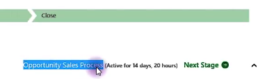 Business Process Flow Name Focus