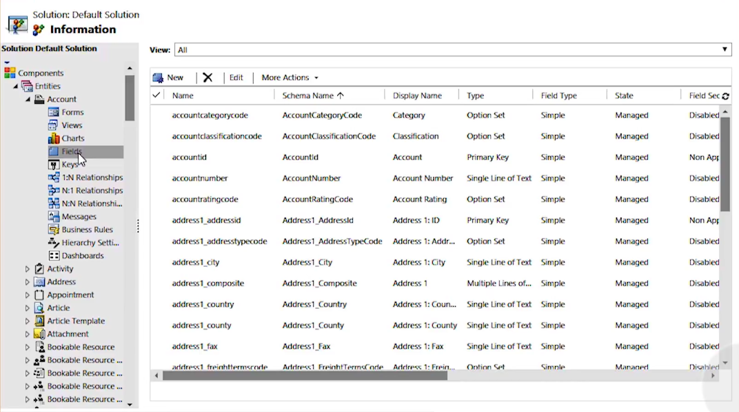 Customize Entities Accounts Fields Microsoft Dynamics 365 for Sales CRM