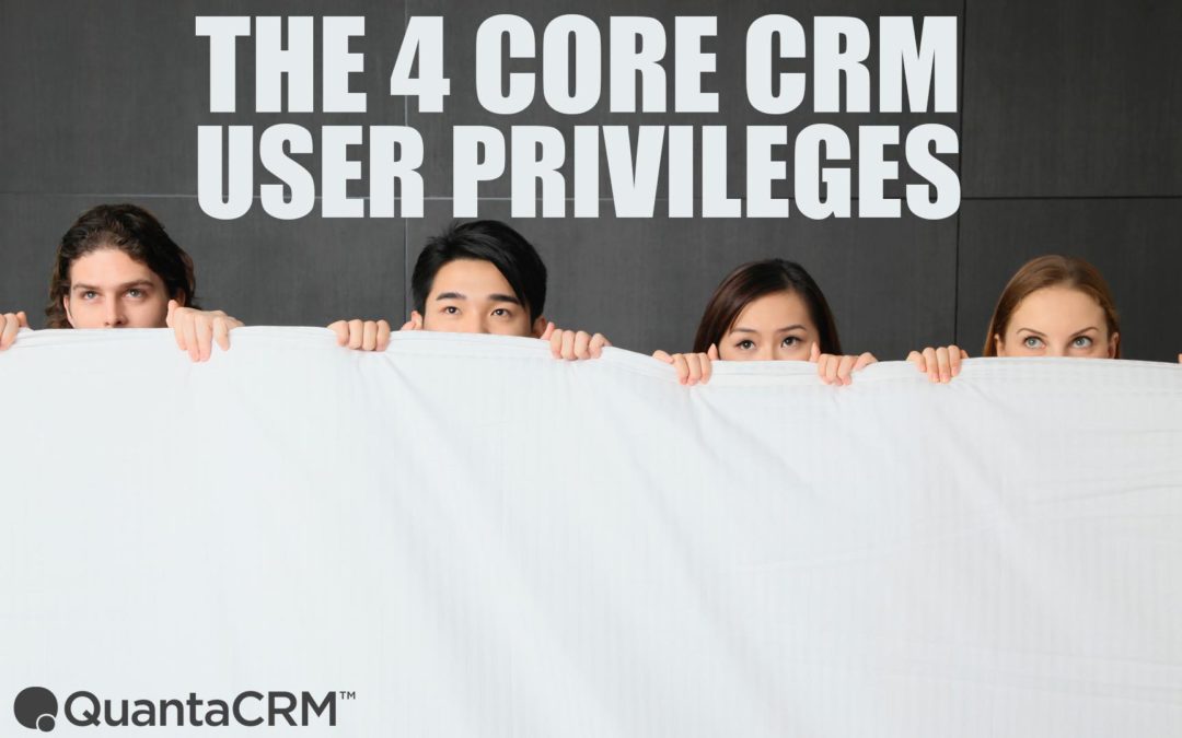The 4 Core CRM User Privileges