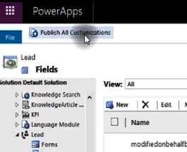 Publish All Customizations Lead Microsoft Dynamics 365 for Sales CRM
